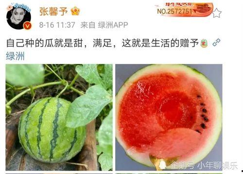 2020年娱乐圈吃瓜